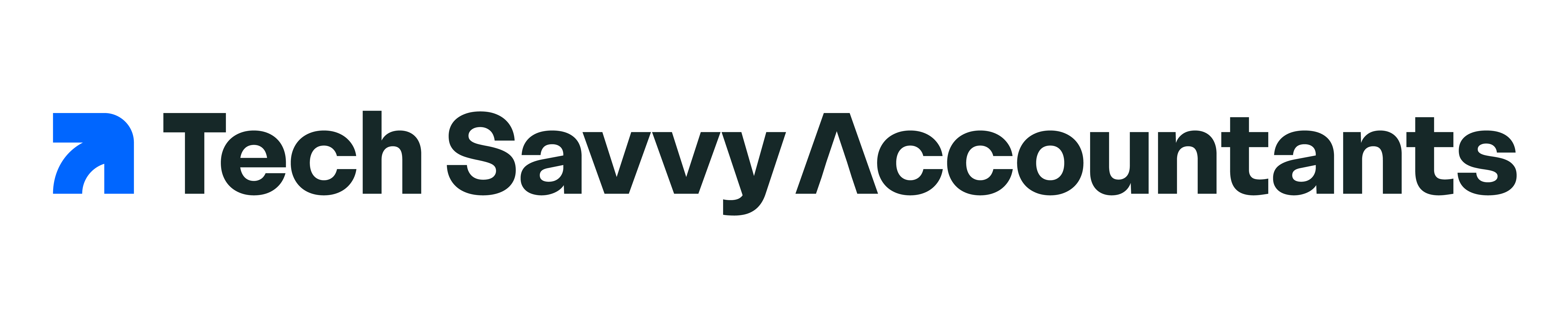 Tech Savvy Accountants